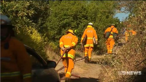 Firefighters have managed to contain a bushfire burning in the Adelaide Hills.