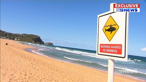 Charlie Fry spotted the shark about 30 to 40 metres into the water at Avoca Beach. (9NEWS)