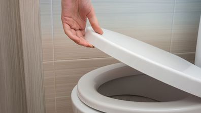 Toilet with seat and lid down