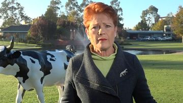 Pauline Hanson talking about Clive Palmer