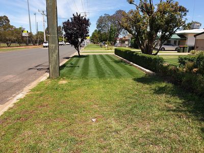 Australian Lawns