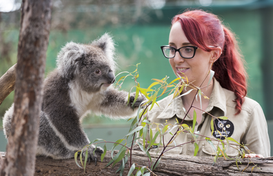 Moonlit Sanctuary wildlife park