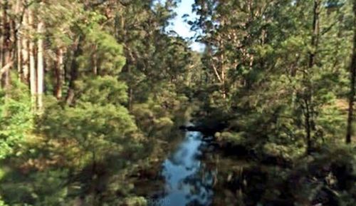 The 15-year-old was last seen in the area of One Tree Bridge on the Donnelly River.

