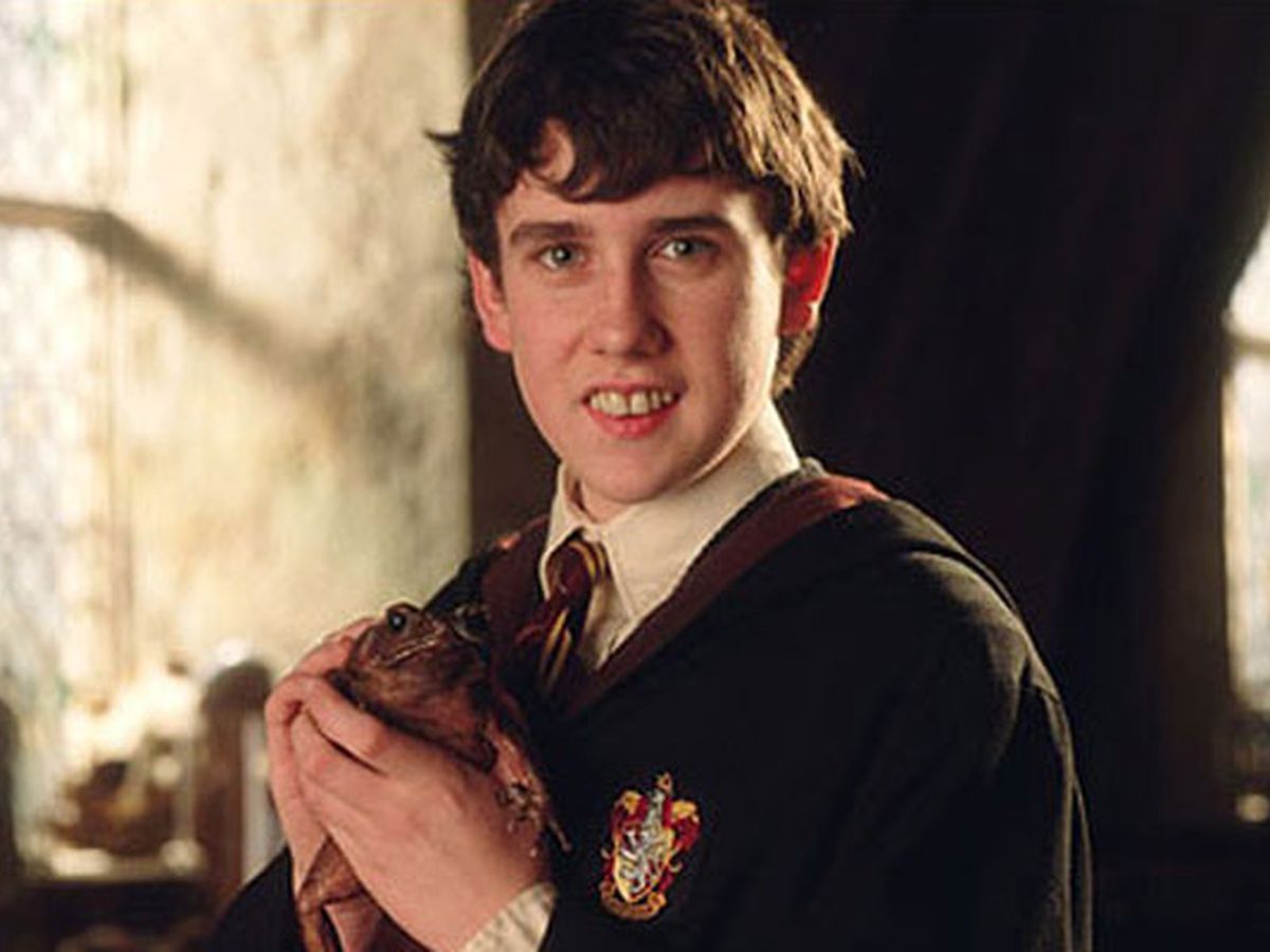 Neville Longbottom Is In Australia And He S A Hottie Now 9celebrity