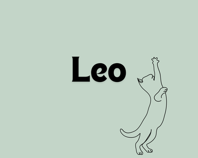 6. Leo