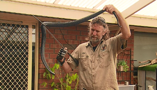 If you come across a snake in your home, Mr Hempel said you should contact the experts to remove it.