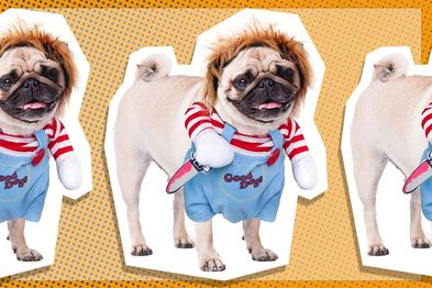  Deadly Dog Clothes Dog Costume Halloween Costumes for