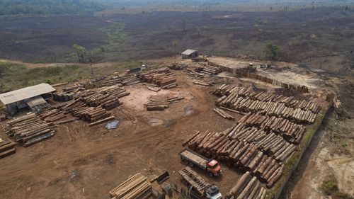 Logs are stacked at a lumber mill surrounded by recently charred and deforested fields in Brazil's Amazon.  