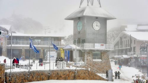 Police found Conrad Whitlock's BMW near Mount Buller Ski Resort in the Victorian Alps.