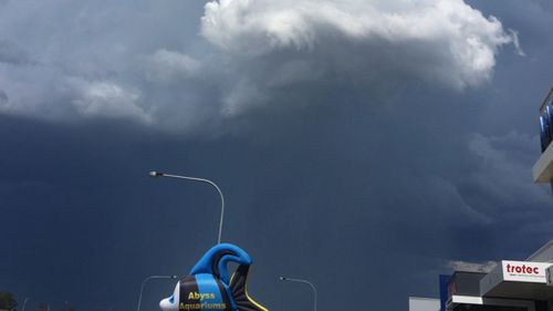 Power restored to 10,000 homes and businesses in Sydney's south after severe thunderstorms