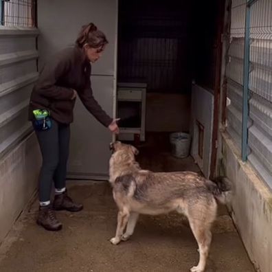 Dog trainer Amelia Steele