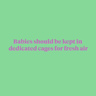 Baby cages