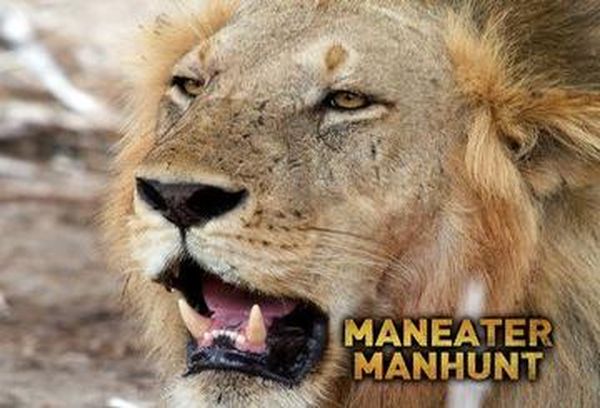 Maneater Manhunt