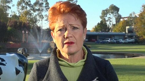 Pauline Hanson on Today.