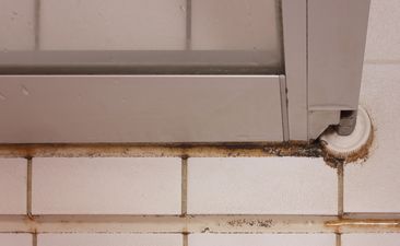 black mold on the tiles in the shower room