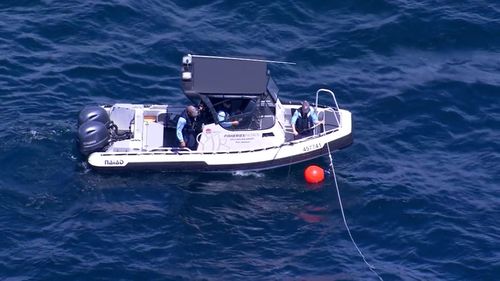 Authorities check SMART drumlines following the fatal shark attack off Little Bay.