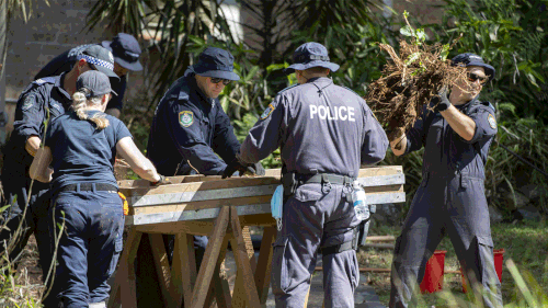 Recherche William Tyrrell le 16 novembre