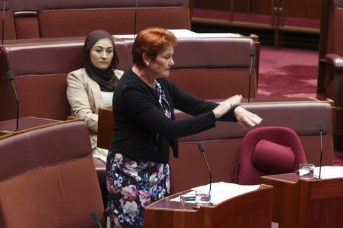 One Nation leader Senator Pauline Hanson slaps herself on the wrist. 