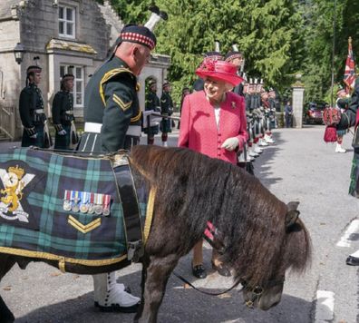 Queen Elizabeth greeted by Shetland pony in Scotland.