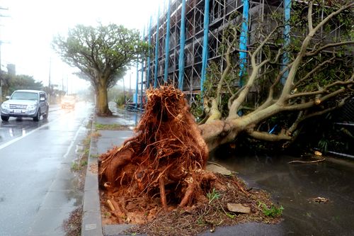 Winds of 202km/h are lashing Japan as Typhoon Trami wreaks havoc.