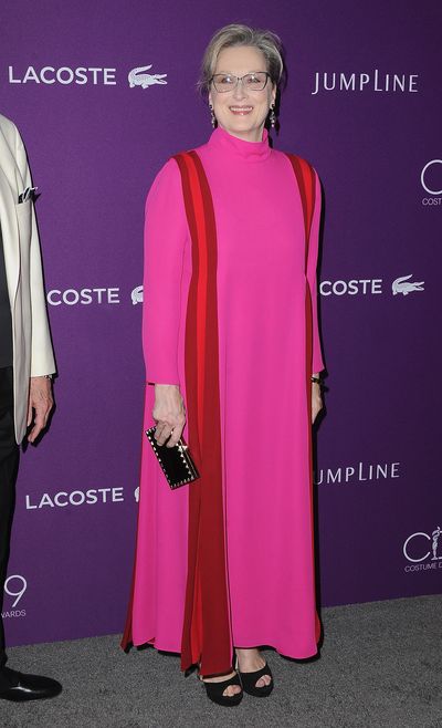 Meryl Streep at the 19th CDGA (Costume Designers Guild Awards) on February 21, 2017 in Beverly Hills wearing Valentino.