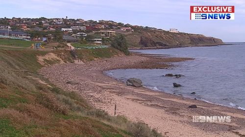 Thousands of locals have signed the petition to bring the sea pool to Hallett Cove. (9NEWS)