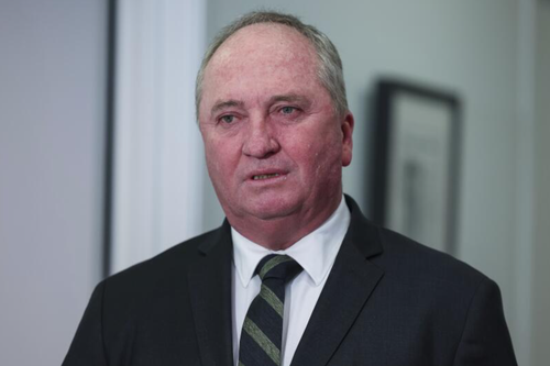 Member for New England Barnaby Joyce during a doorstop interview in the press gallery.
