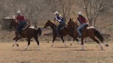 Polocrosse 