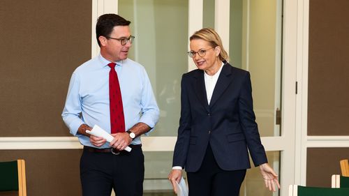 Nationals leader David Littleproud and Liberal leader Sussan Ley arrive for at a press conference