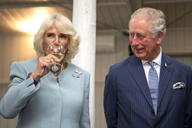 Royal tour New Zealand: Prince Charles and Camilla begin eight-day visit