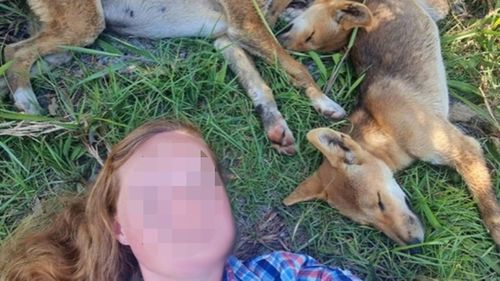 A New South Wales woman has been fined $2300 for interacting with dingoes on K'gari in Queensland after tip-offs from members of the public. 