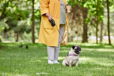 woman walking cute pug dog on leash in green park