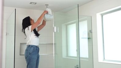 Home hacks cleaning tips shower Anita Birges