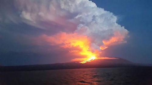 The erupting Wolf Volcano, viewed at a distance. (Galapagos National Park)