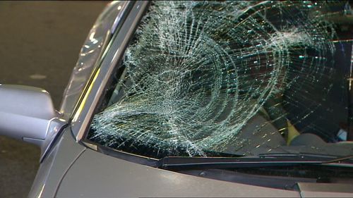 The vehicle's windscreen was shattered from the impact. Photo: Supplied