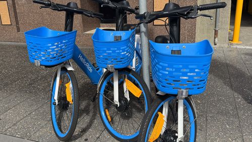 eBikes are being tagged for removal by Waverley Council.