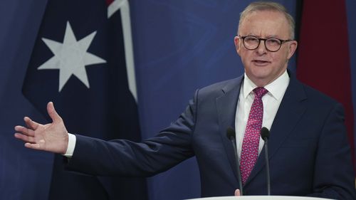 The annual Resolve Political Monitor shows Prime Minister Anthony Albanese in some popularity pain.
