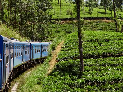 Train from Columbo to Badulla, Sri Lanka