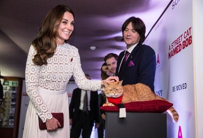 Kate Middleton wears band aid plaster on hands