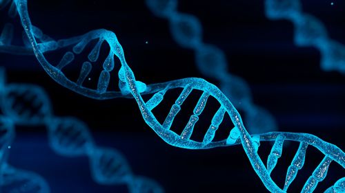 DNA genetics science chromosomes DNA strand