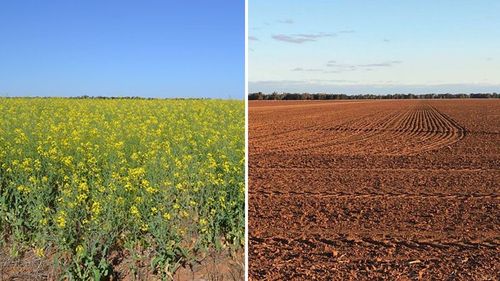 The devastating toll the drought has taken on a nearby farm in two years.