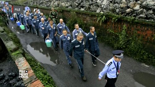 The organs of death-row prisoners are being illegally harvested, sometimes when they are still alive, an ANU study has claimed.