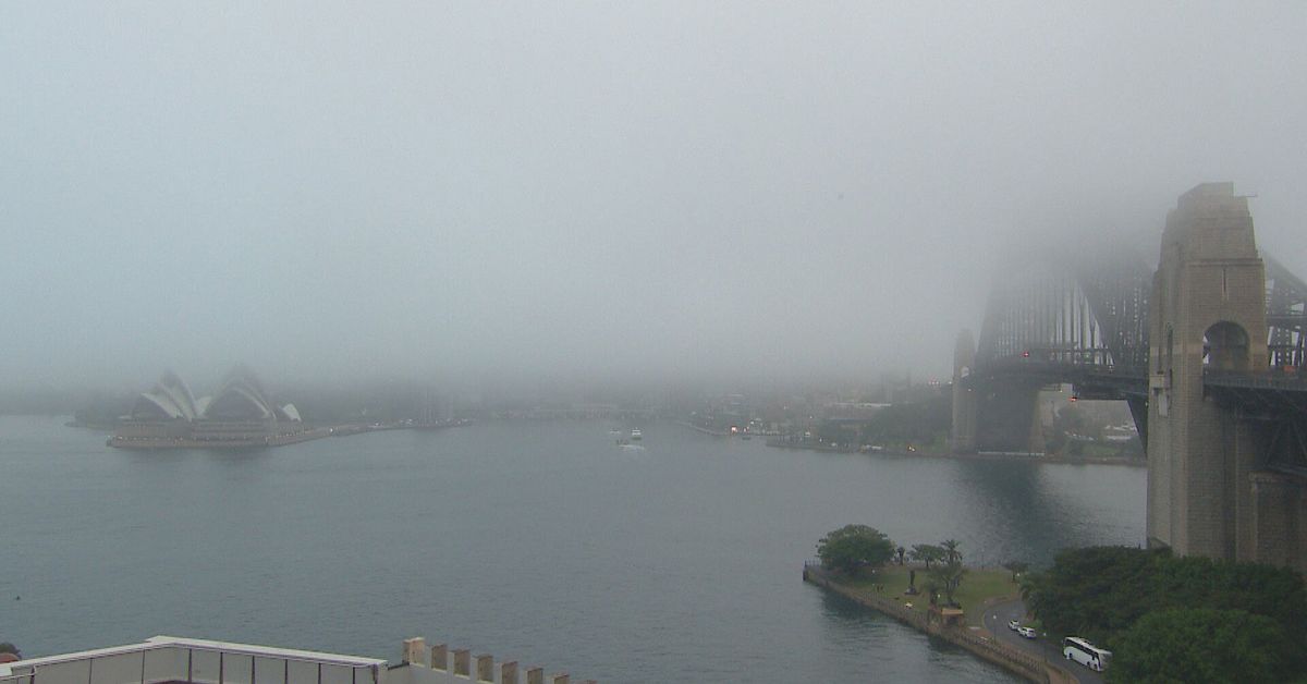 Warning of flight delays at Sydney airport as thick fog covers city