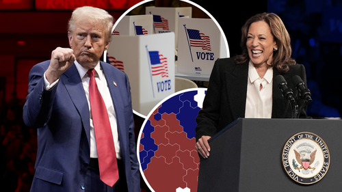 Kamala Harris Donald Trump election explainer SB