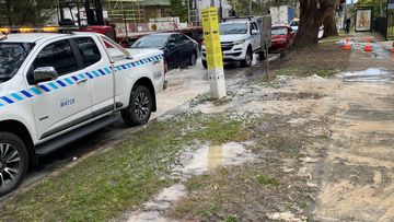 Another burst water main found on Mowbray Road in Lane Cove.