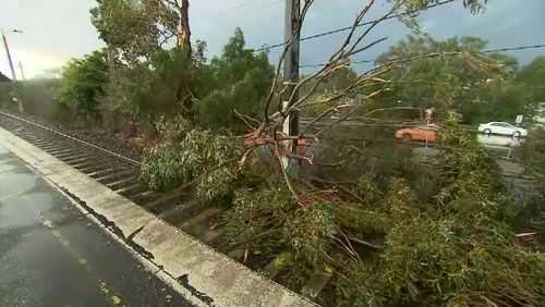 Victorians are facing a massive cleanup effort today after wild winds and intense storms caused destruction across the state. Picture: 9NEWS.