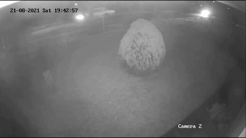Police release CCTV of moments before suspected murder of Lake Illawarra man in 2021.