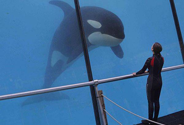 Rust and Bone