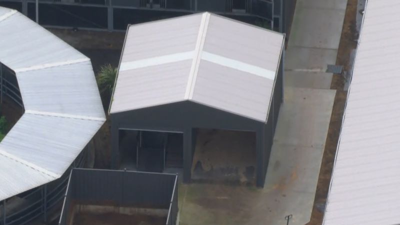Woman dies after being kicked by horse in stables | Nine.com.au