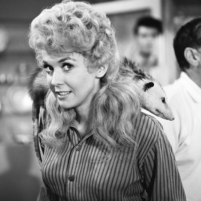 Donna Douglas, 1963